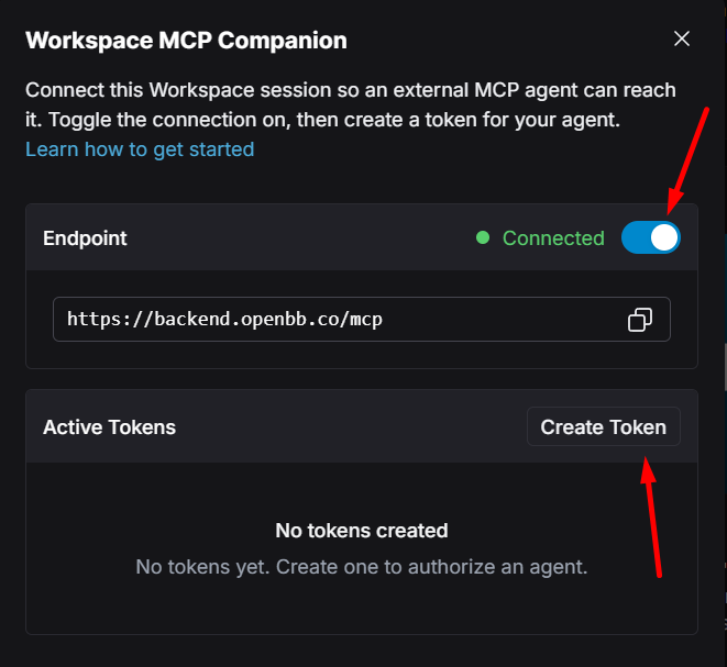 Workspace MCP Companion showing the endpoint connected and the Create Token button
